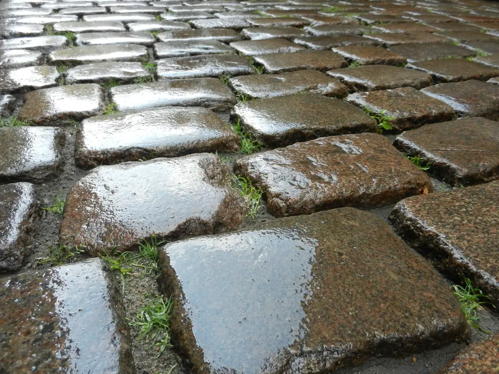 Pavés de pierre luisants après la pluie